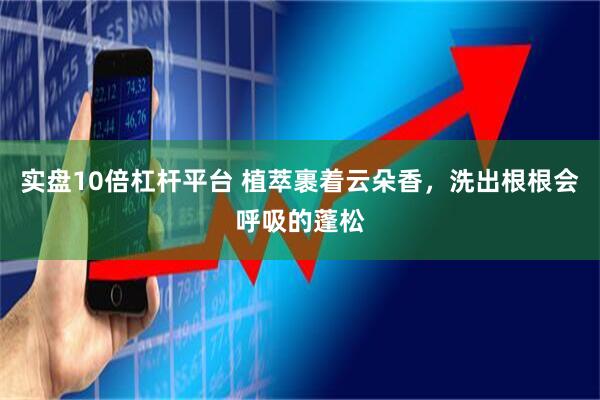 实盘10倍杠杆平台 植萃裹着云朵香，洗出根根会呼吸的蓬松