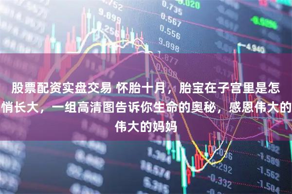 股票配资实盘交易 怀胎十月，胎宝在子宫里是怎么悄悄长大，一组高清图告诉你生命的奥秘，感恩伟大的妈妈