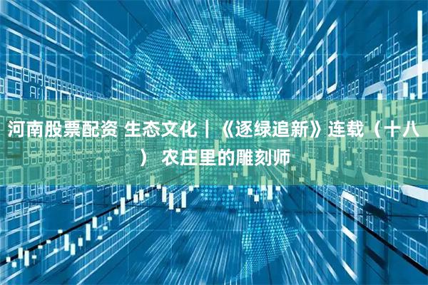 河南股票配资 生态文化｜《逐绿追新》连载（十八） 农庄里的雕刻师